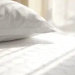 호텔 쉐라톤