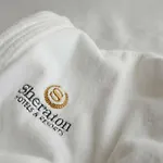 Hotel Sheraton Offenbach del Meno